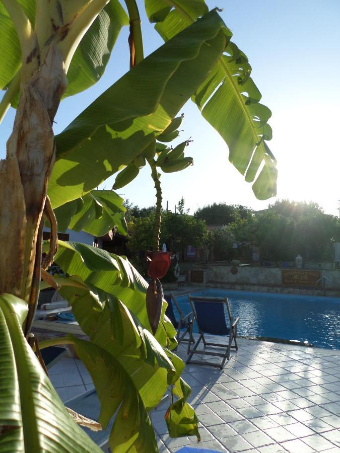 Villaggio Romaniello Marina di Camerota Eksteriør bilde